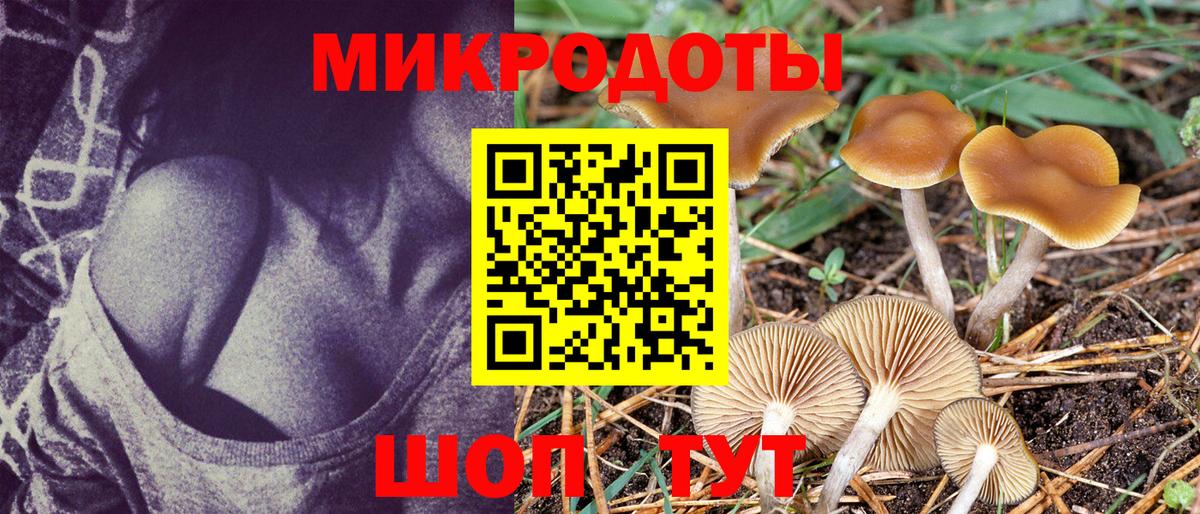 Галлюциногенные грибы ЛСД Избербаш