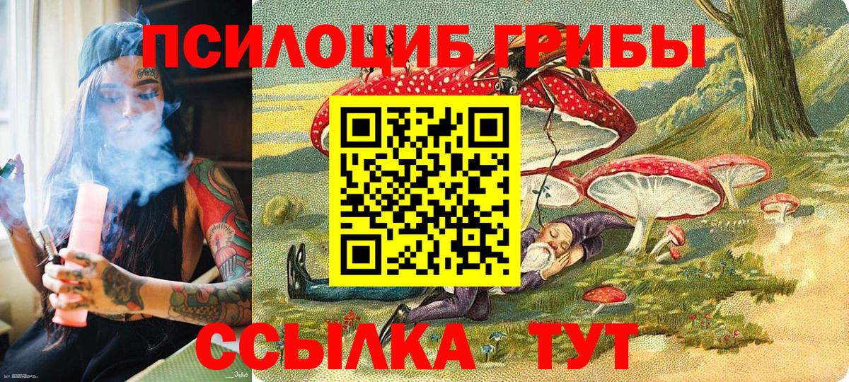 Галлюциногенные грибы GOLDEN TEACHER  Вход с VPN  Избербаш 